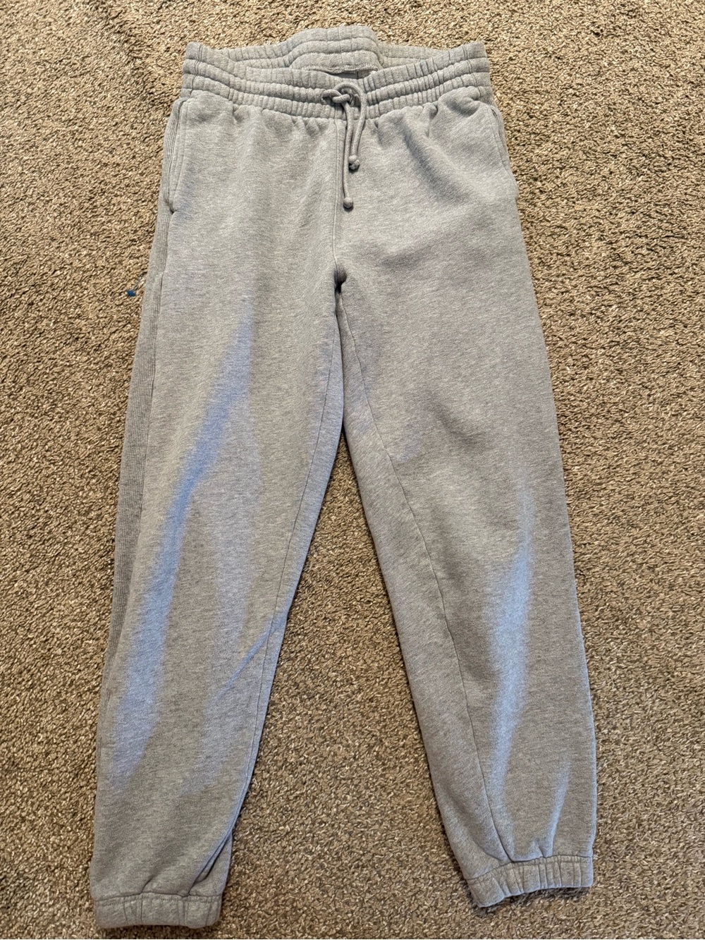 Aritzia Cozy Boyfriend Sweatpants